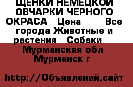 ЩЕНКИ НЕМЕЦКОЙ ОВЧАРКИ ЧЕРНОГО ОКРАСА › Цена ­ 1 - Все города Животные и растения » Собаки   . Мурманская обл.,Мурманск г.